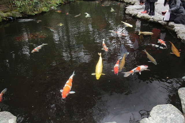 紅葉の伊勢神宮（その4）最終回（撮影：11月26日）_e0321325_19190930.jpg