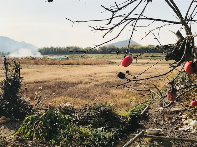 神戸のはずれの小さな海街で珈琲を飲む日のこと（その１７）ー 煙のある風景（前編） ー_a0285828_11394282.jpg