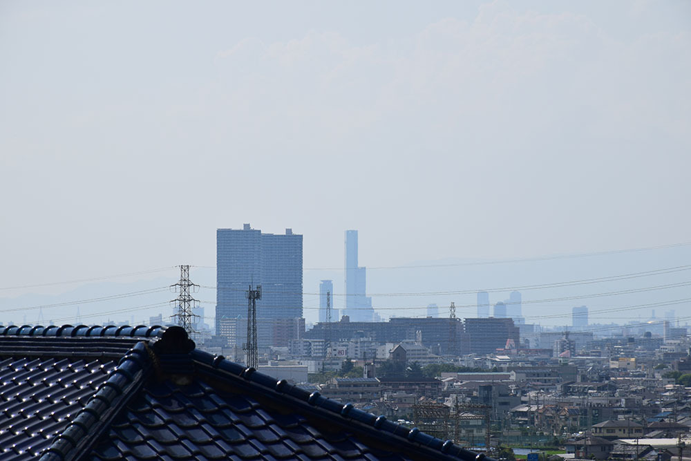 太平記を歩く。 その175 「恩智城跡」 大阪府八尾市_e0158128_21005971.jpg