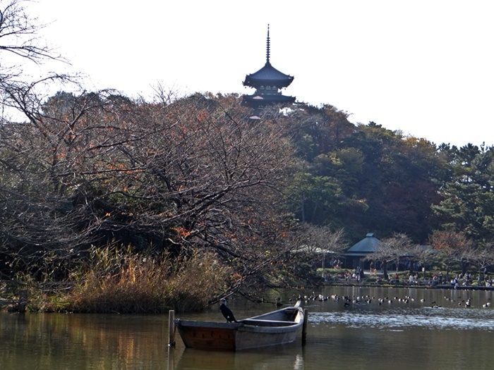 d0037233_08592560.jpg