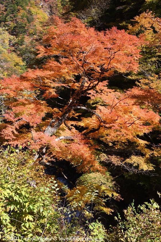 e0362037_20211313.jpg