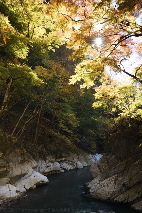 秩父 中津峡 持桶女郎もみじ 紅葉_e0362037_20212161.jpg