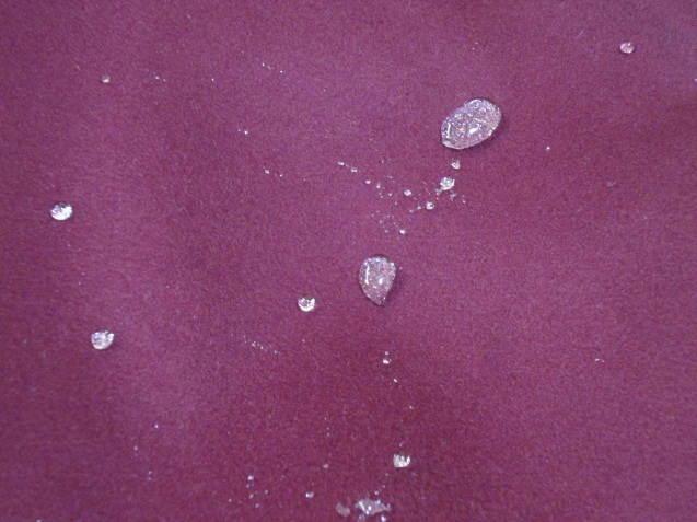 d0359338_11444790.jpg
