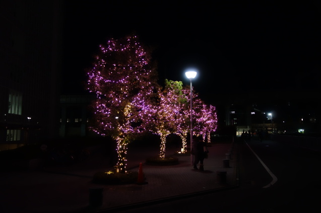 f0287038_19351838.jpg