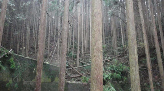 a0051539_02223142.png