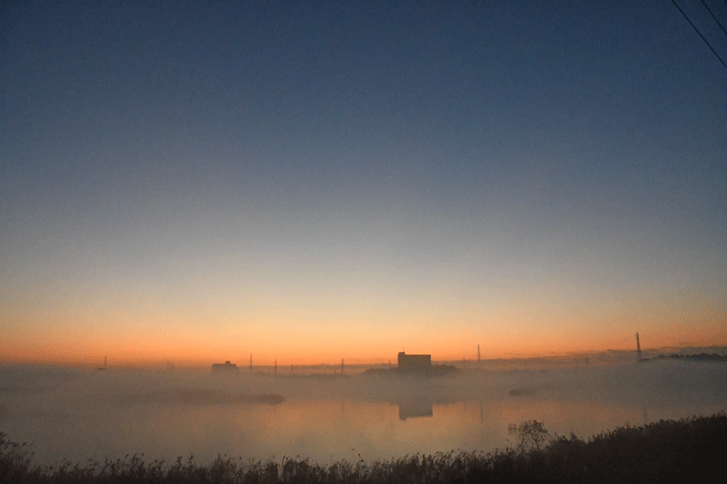d0290240_14050706.gif
