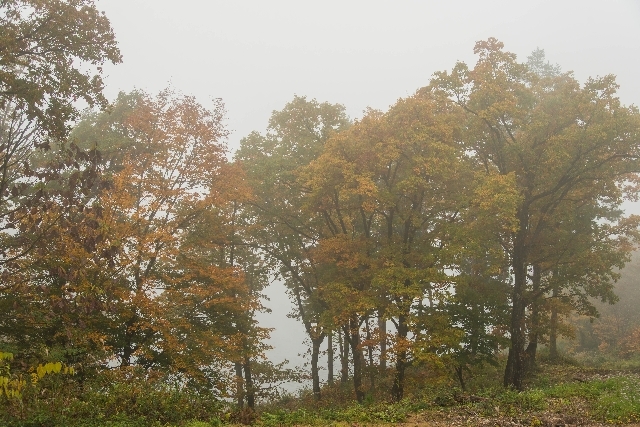 f0158043_21572313.jpg