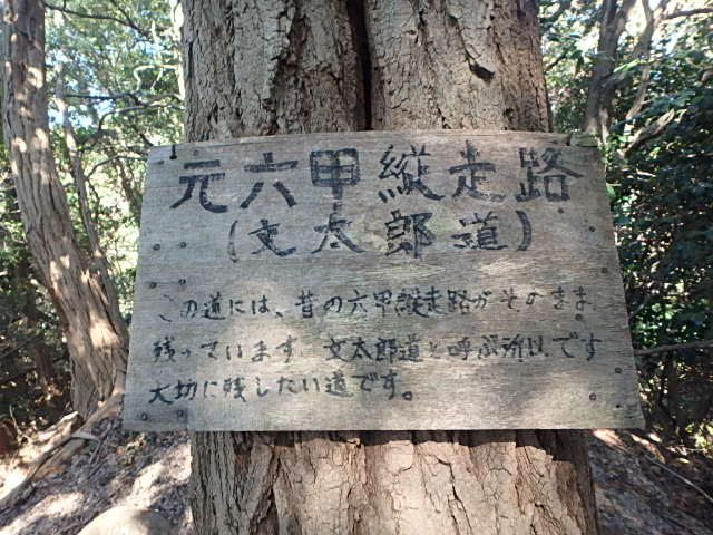 f0334143_21342618.jpg