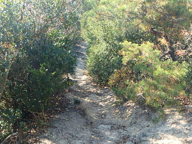 f0334143_21481228.jpg