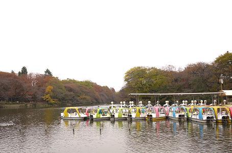 井の頭公園の紅葉 2011_d0354944_11060429.jpg