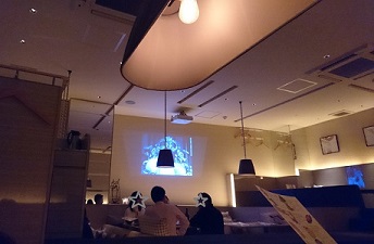 f0087347_15432815.jpg