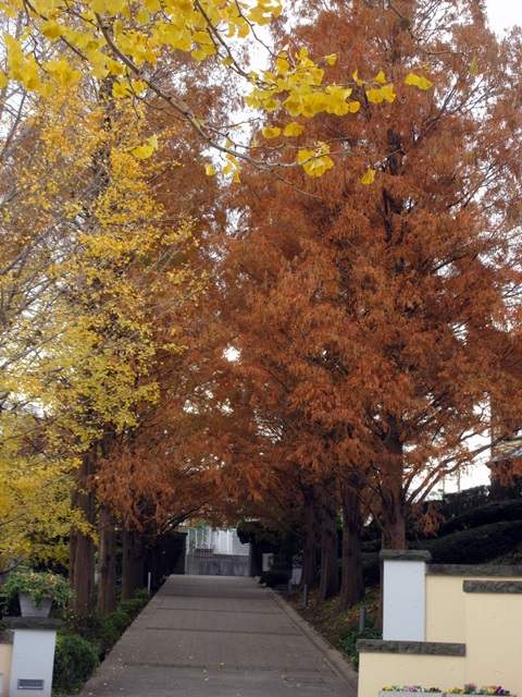 b0009849_18481824.jpg