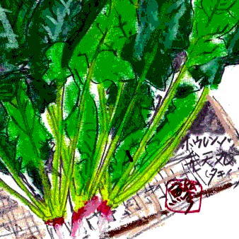 新しい野菜/野菜主義_b0355451_09291508.jpg