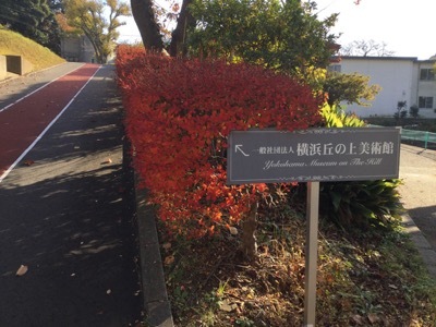 b0002954_10270136.jpg