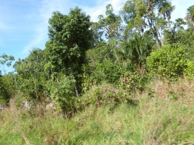 a0133563_08235740.jpg