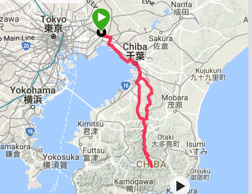 b0092366_23102434.png