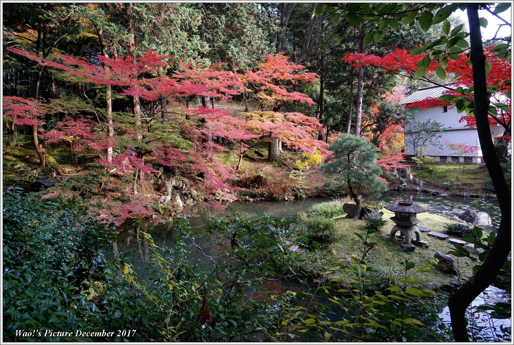 京都古刹の紅葉－１　金戒光明寺_c0198669_18261719.jpg