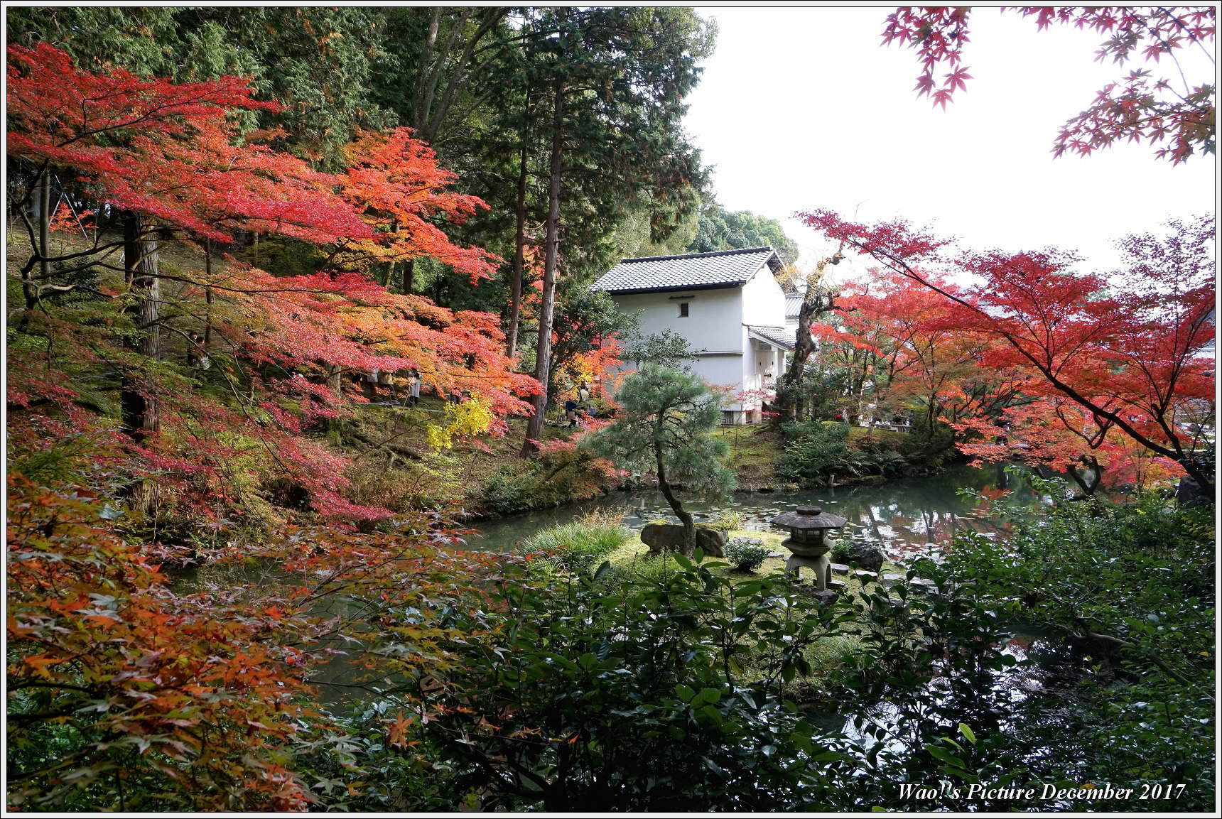 京都古刹の紅葉－１　金戒光明寺_c0198669_18262963.jpg