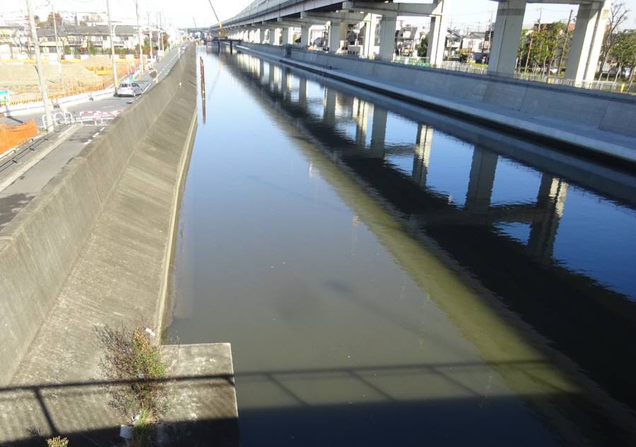 f0059673_21584740.jpg