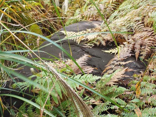 f0211178_00232145.jpg