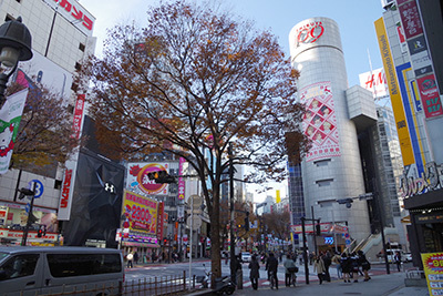 b0056983_15463383.jpg