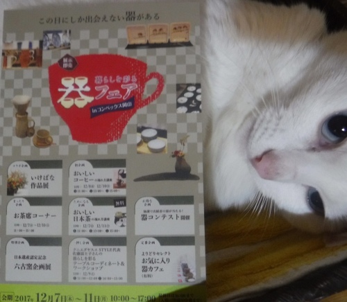 d0195183_22482206.jpeg
