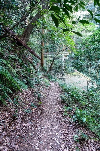e0176993_07372760.jpg