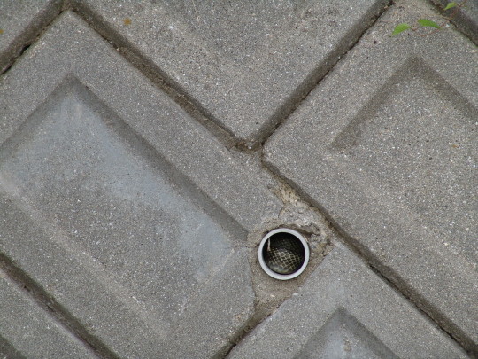 e0369096_21552406.jpg
