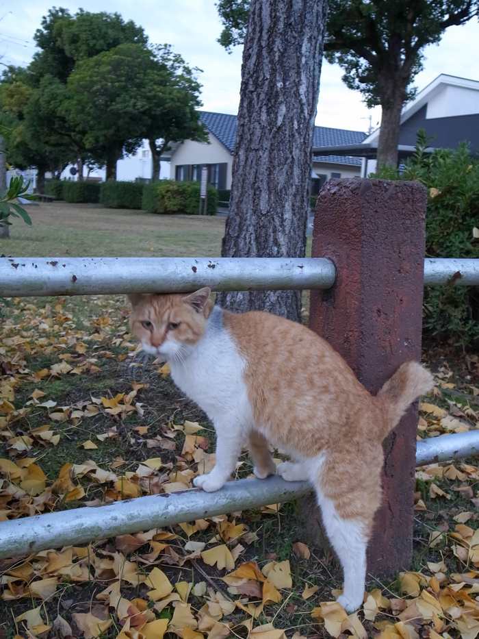 ちょうどひと巡り　(^o^)_c0049299_22354022.jpg