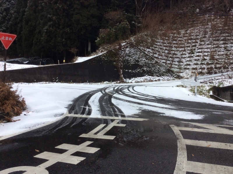 b0220002_20411229.jpeg