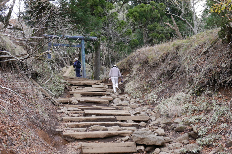 大山へふもとから登ろう　その2_d0161702_19114303.jpg