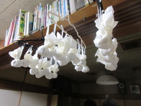雪の朝・穫り終えたハブ茶・ねこの燭台_a0203003_21302776.jpg