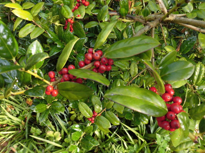 c0156104_21031920.jpg