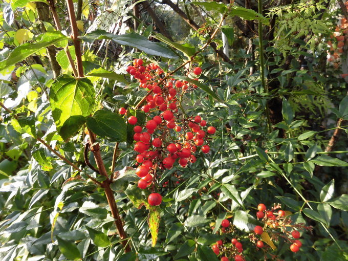c0156104_21033027.jpg