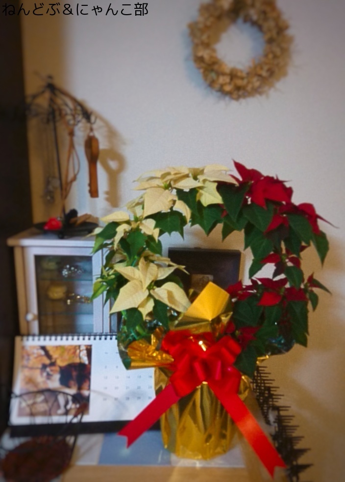 a0223107_11443639.jpeg
