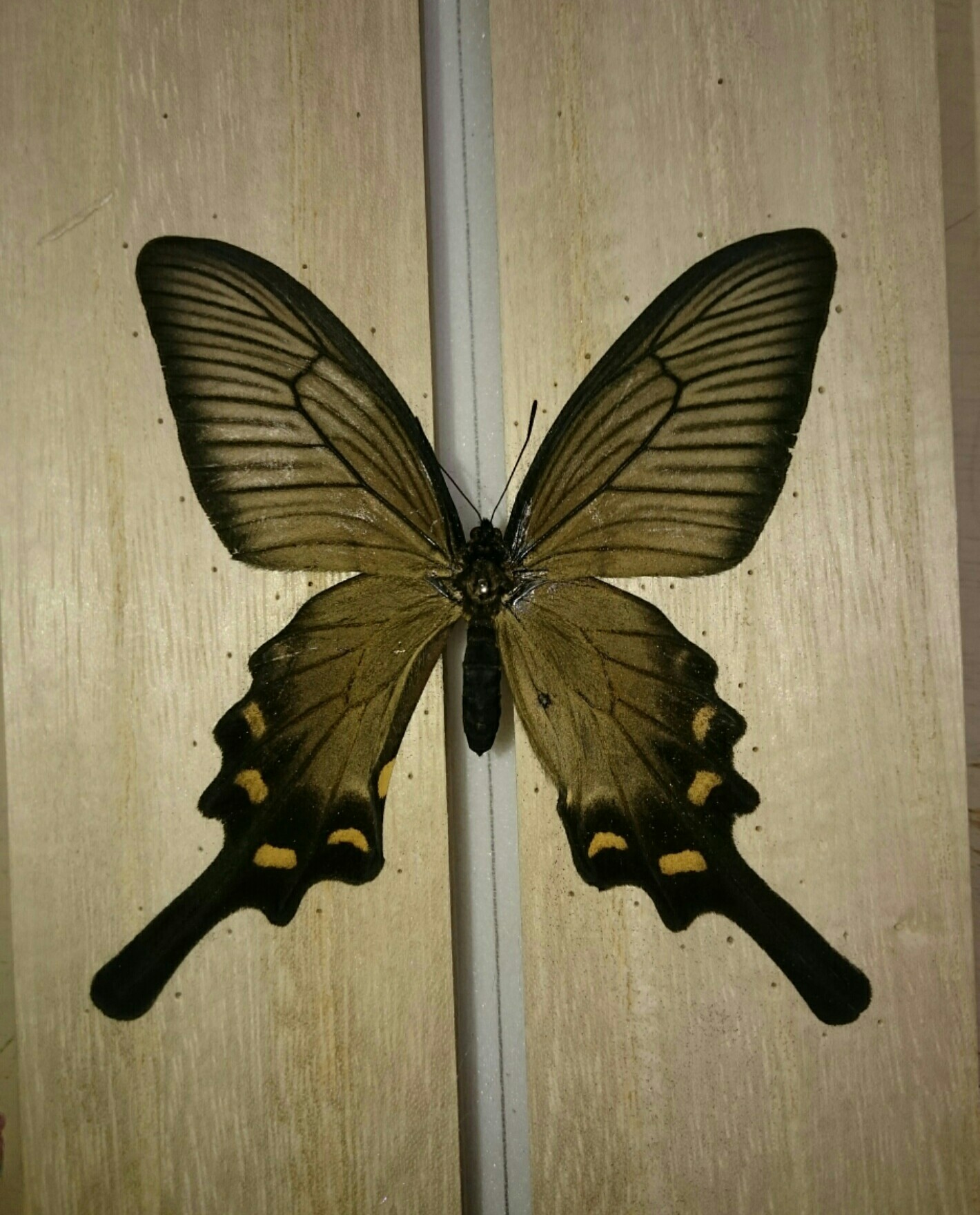 a0361610_01045896.jpg