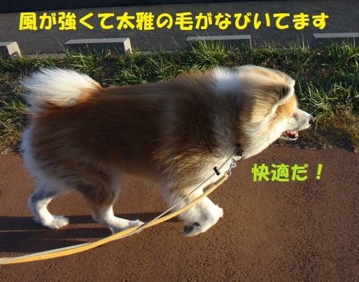 f0121712_00032459.jpg