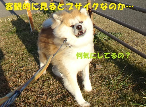 f0121712_00415269.jpg