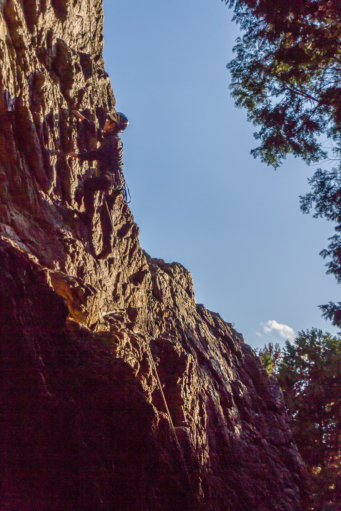 b0010915_20405252.jpg