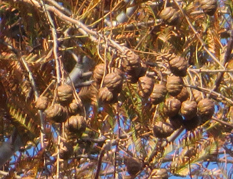 c0190915_19292295.jpg