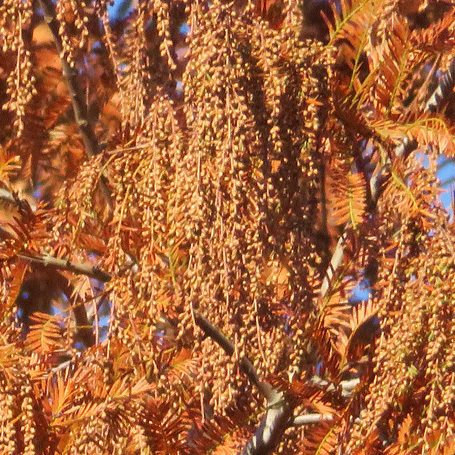 c0190915_19293264.jpg