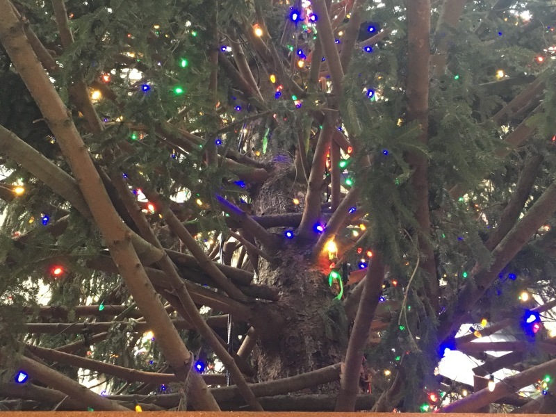 お家の中もホリデームードにと悲しいクリスマスツリーの現実 Motoのny料理教室ライフ