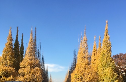 c0131818_17553182.jpeg
