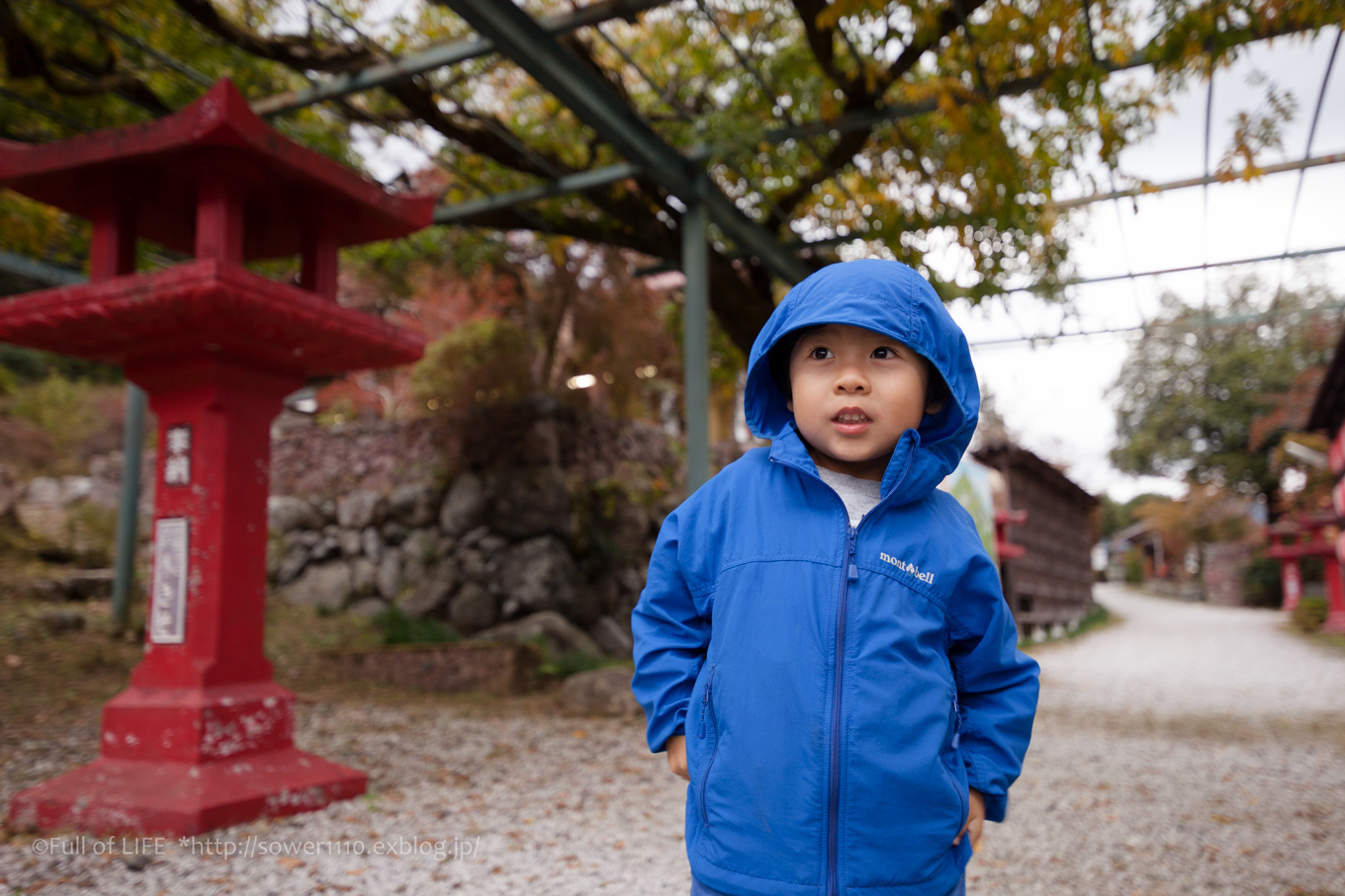 「白雲山 鳥居観音」紅葉狩り幼児プチ登山　救世大観音_c0369219_12435065.jpg