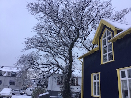 周囲は一面の銀世界。レイキャヴィクの初雪2017年_c0003620_04063338.jpg