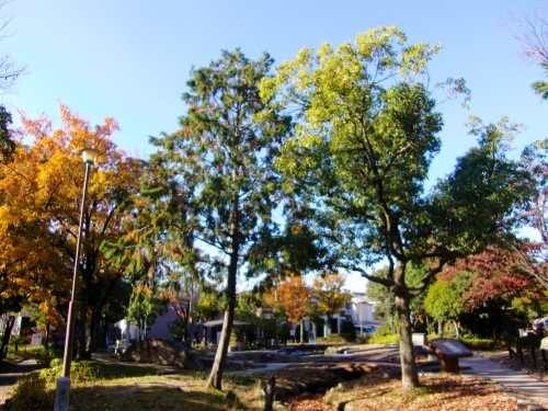 桶狭間古戦場公園（愛知県名古屋市）_c0219820_21575445.jpg