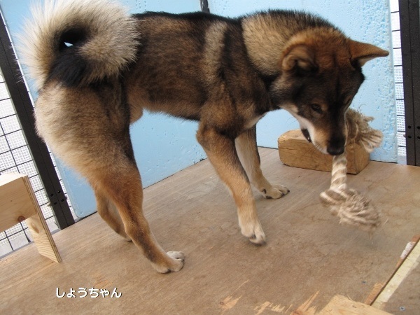 f0143123_08400045.jpg