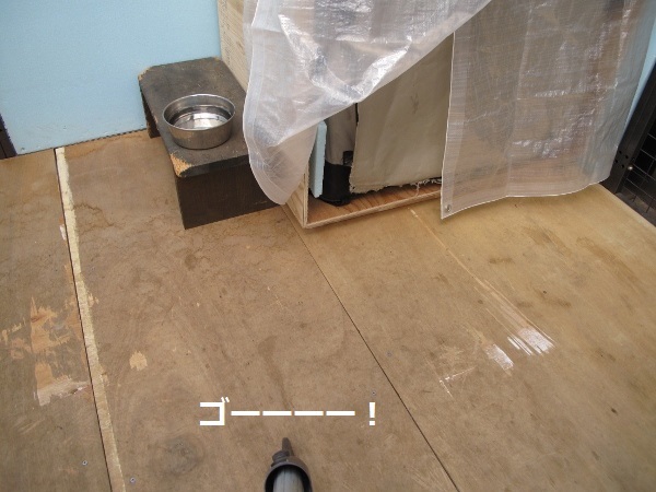 f0143123_08411155.jpg
