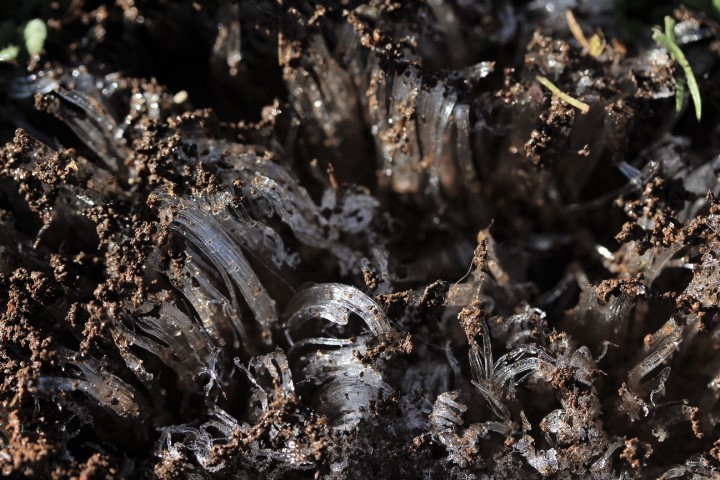 f0354923_22512197.jpg