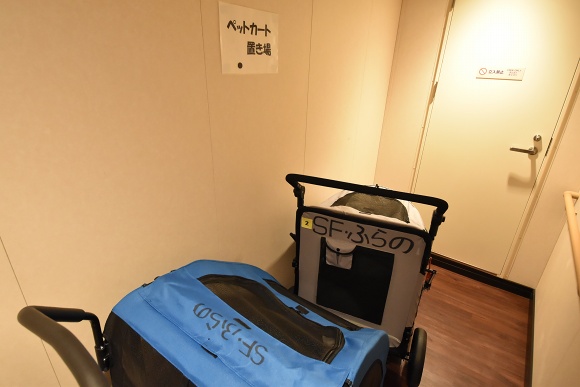 新「さんふらわあ ふらの」乗船記その7_e0158925_2044034.jpg